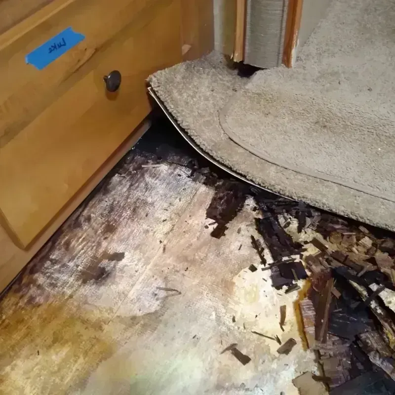 Wood Floor Water Damage in Georgetown, IL